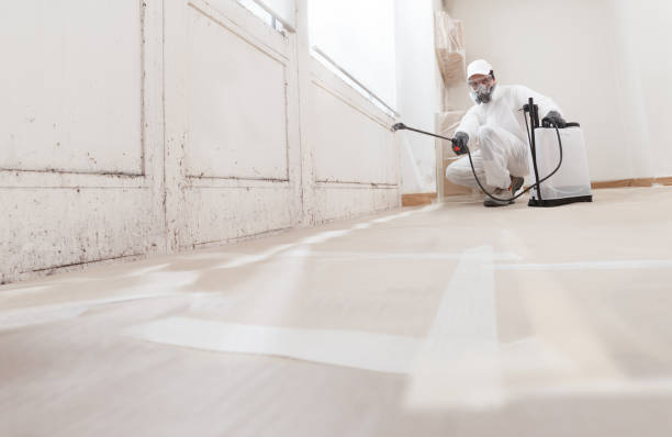 24/7 Emergency Mold Remediation experts in Augusta, GA